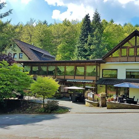 Siegerland-Hotel Freudenberg  Exteriör bild