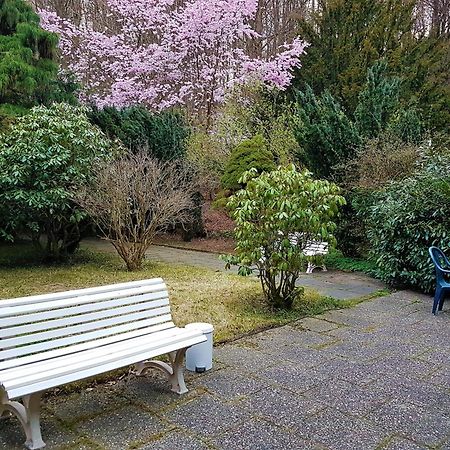 Siegerland-Hotel Freudenberg  Exteriör bild