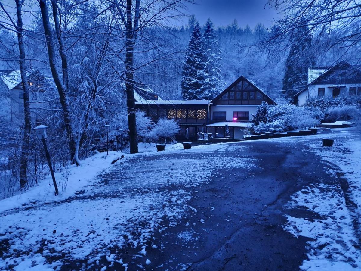 Siegerland-Hotel Freudenberg  Exteriör bild