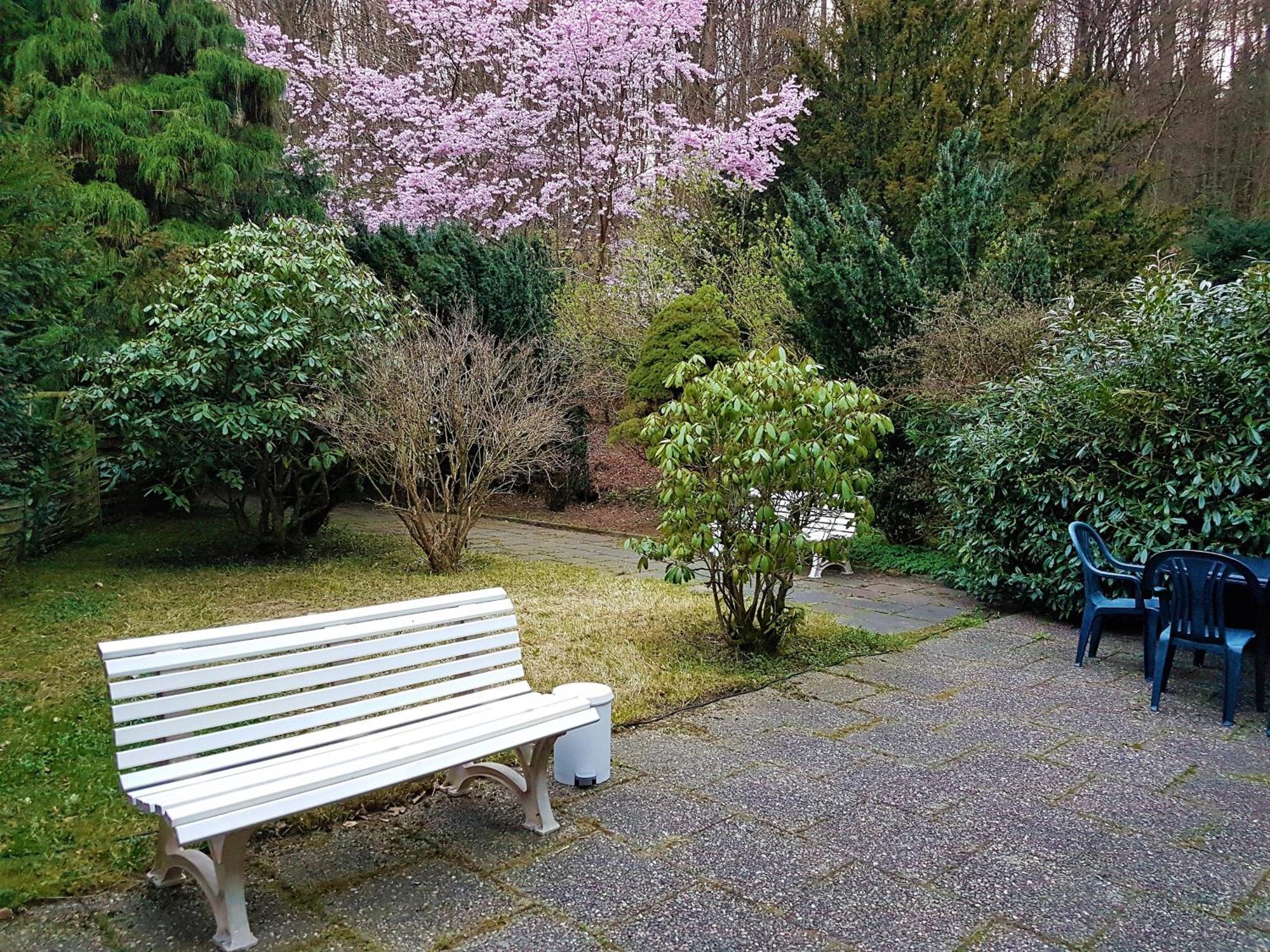 Siegerland-Hotel Freudenberg  Exteriör bild